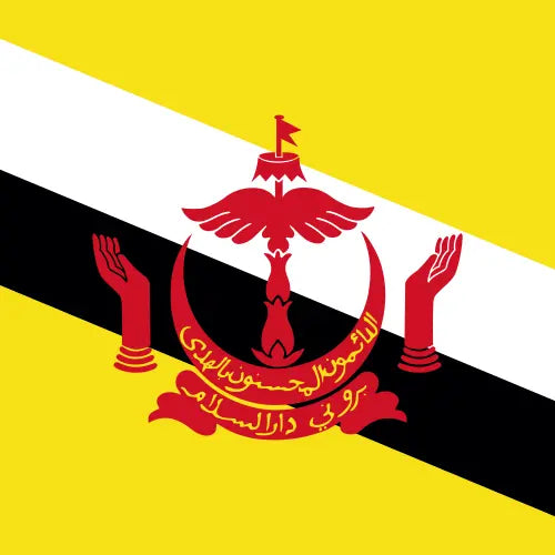 Brunei Darussalam 3GB/Day unlimited daily data eSIM